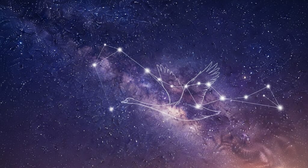 An illustration of the Cygnus constellation in the night sky, with lines connecting the stars to form the shape of a graceful flying swan.