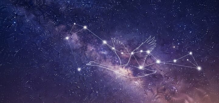 An illustration of the Cygnus constellation in the night sky, with lines connecting the stars to form the shape of a graceful flying swan.