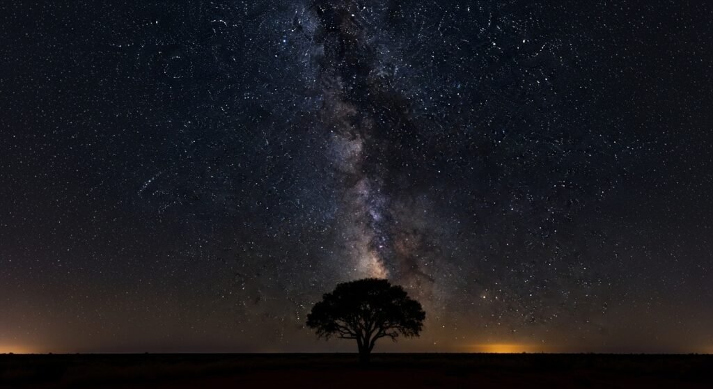 A lone silhouette of a tree centered under a vertical, vibrant Milky Way in the pitch-black sky of Outback Queensland, with a subtle golden glow on the horizon.