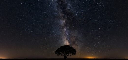 A lone silhouette of a tree centered under a vertical, vibrant Milky Way in the pitch-black sky of Outback Queensland, with a subtle golden glow on the horizon.